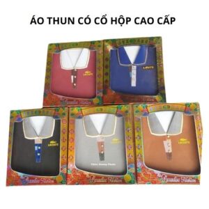 Ao thun cố đứng hộp