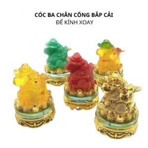 Cóc cõng bắp cải đế kinh xoay