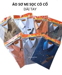 Áo sơmi màu cổ đứng