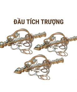 Đầu tích trượng