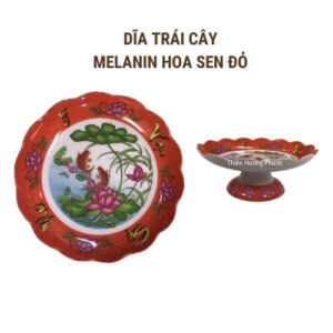 Dĩa trái cây mica 1c