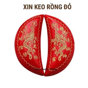 Xin keo rồng cao cấp
