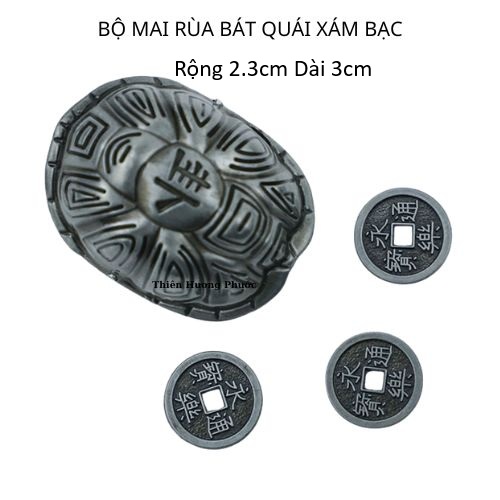 Bộ mai rùa kinh dịch