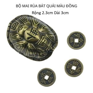 Bộ mai rùa kinh dịch