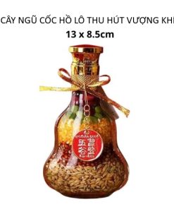 Cây ngũ cốc hồ lô thu hút vượng khí