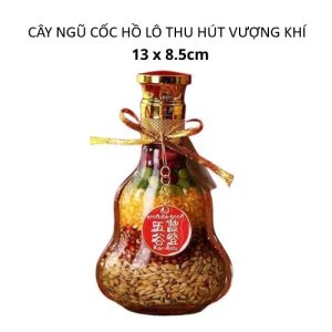 Cây ngũ cốc hồ lô thu hút vượng khí