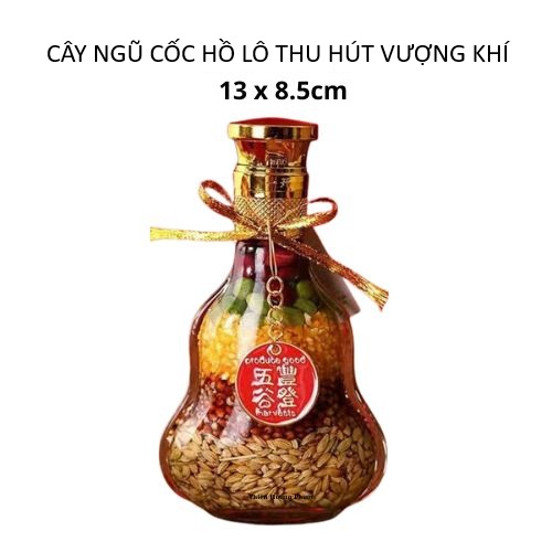 Cây ngũ cốc hồ lô thu hút vượng khí
