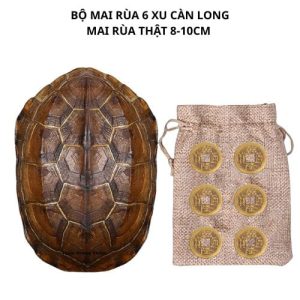 Bộ mai rùa 6 xu càn long